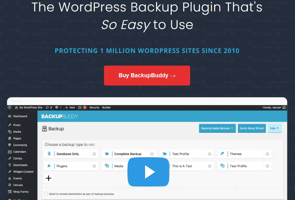 BackupBuddy.webp