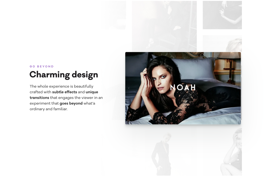 noah_design-o.png