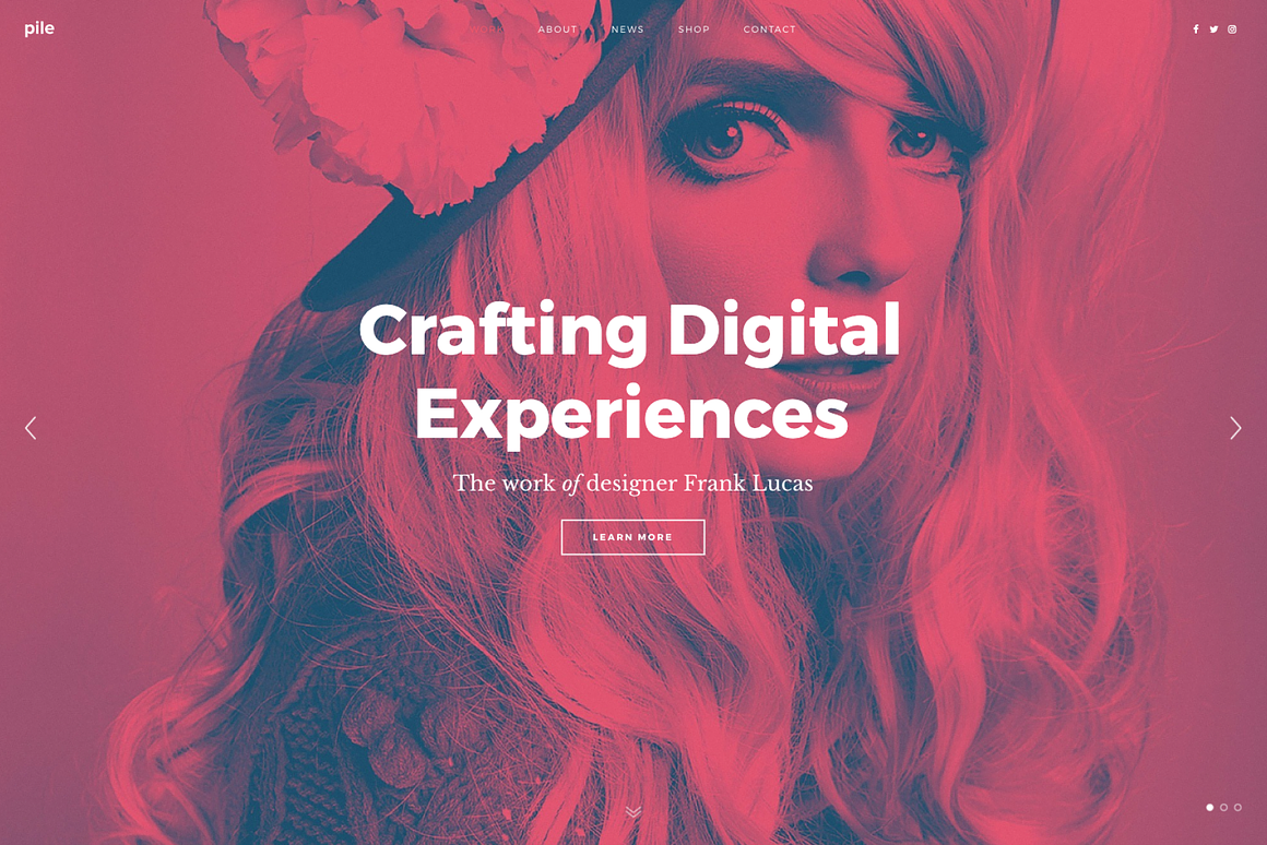 pile_photography_wordpress_theme-o.png