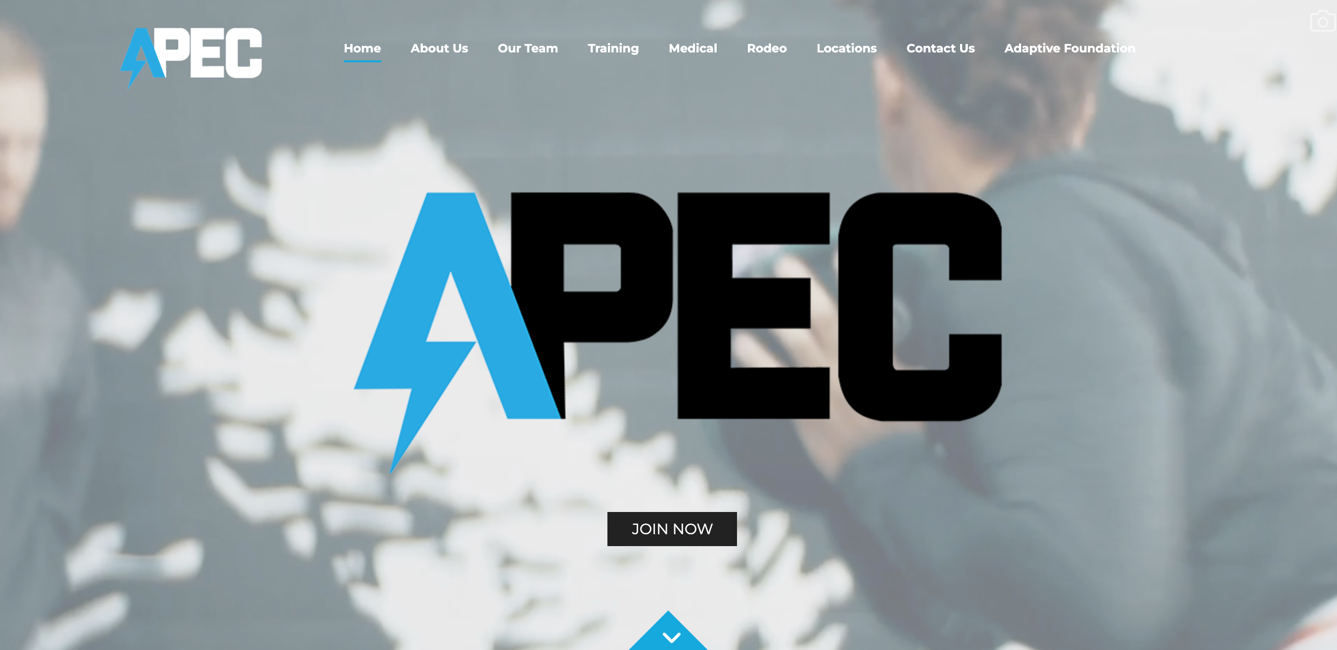 portfolio-apec-1